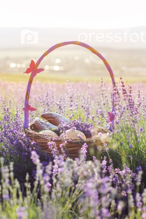Beautiful basket with purple ribbon and butterfly and sweet-stuff in meadow of lavender flowers