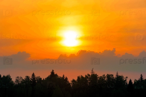 Beautiful sunset over the forest and cumulus clouds, stock photo