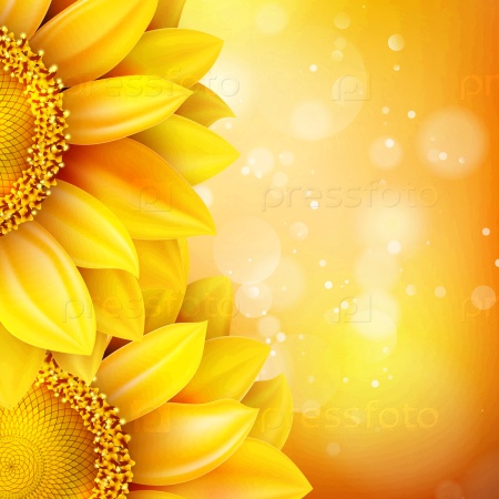Macro SunFlower Background with bokeh. EPS 10 vector file included
