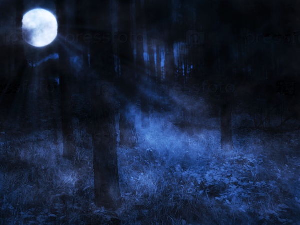 Dark mysterious foggy forest and full moon.
