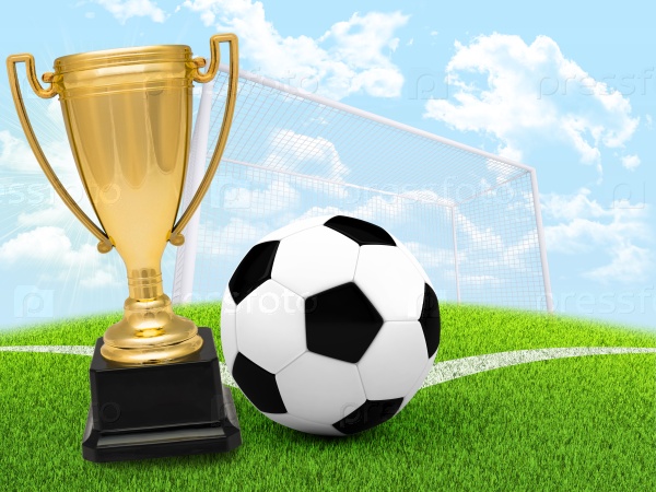 Winner Cup with football on green field