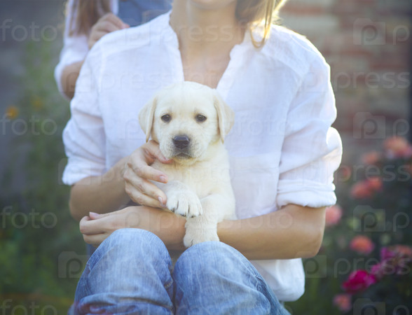 Woman in white blouse with puppy of labrador sitting on her knees