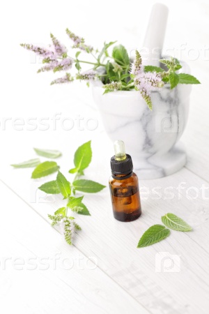 Essential oil and mint