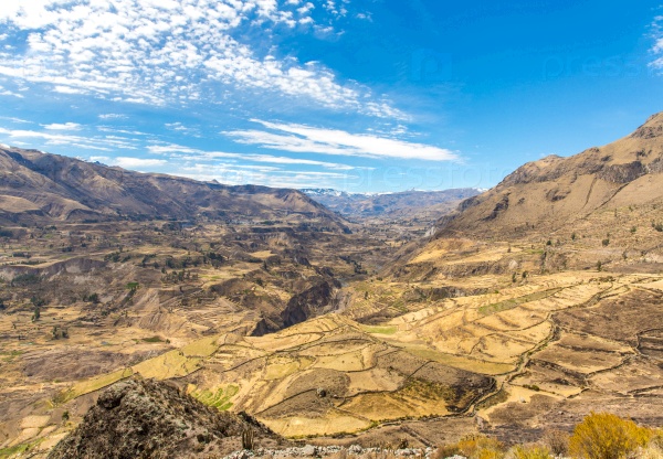 Colca Canyon, Peru, South America. The Incas to build Farming terraces with Pond and Cliff. One of the deepest canyons in the world