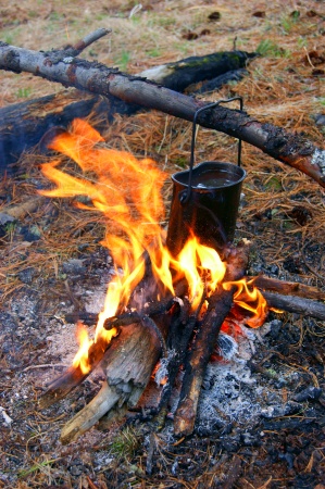 Preparation of the food in wood on campfires