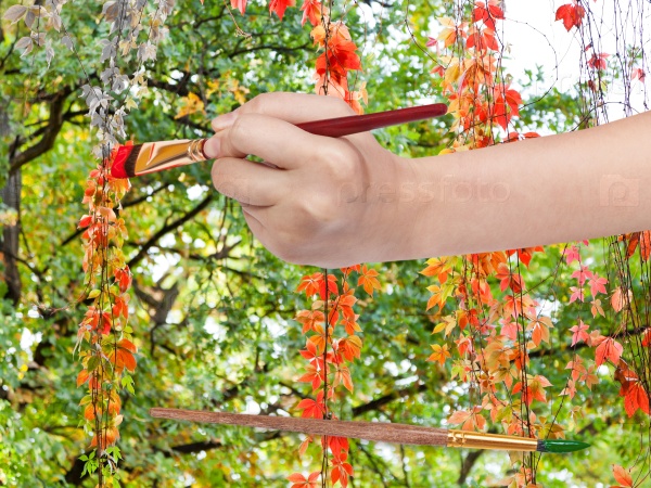 Nature concept - hand with paintbrush paints red leaves of climbing plant in autumn, stock photo