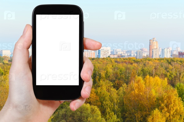 smartphone with cut out screen city autumn forest