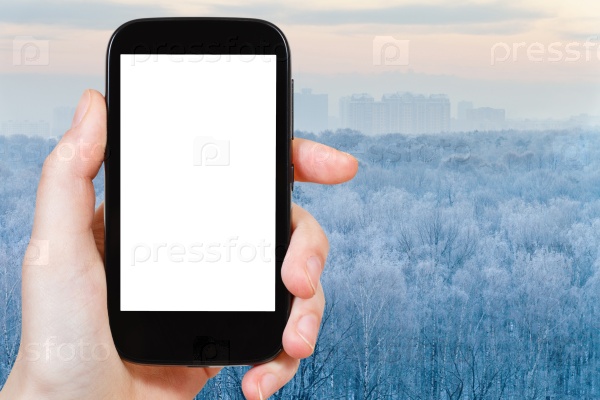 smartphone with cut out screen and frozen forest