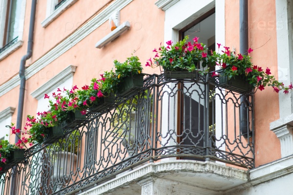 Window sill with flowers on metal balcony railing, side view