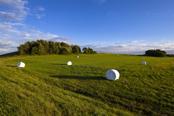 the grass packed into bales for feeding animal in a winter season