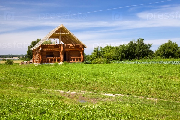 Building of the new house from a tree in a countryside