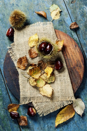 Autumn concept with Chestnuts and leaves