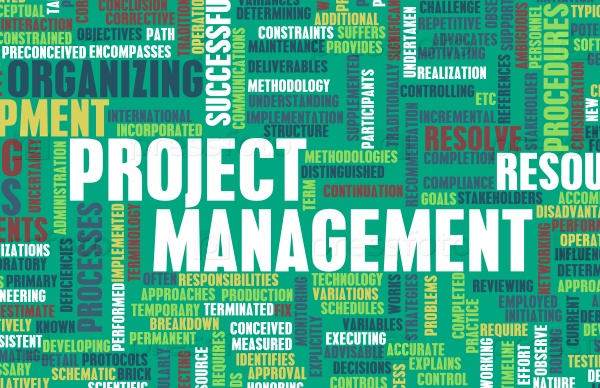 Project Management or a Project Manager as Concept