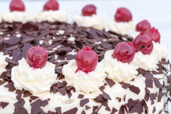 Black Forest cake in detail with white background.