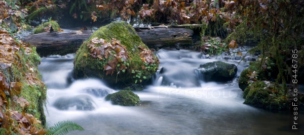 Long Exposure Water Flowing Down Stream Moss Covered Rocks