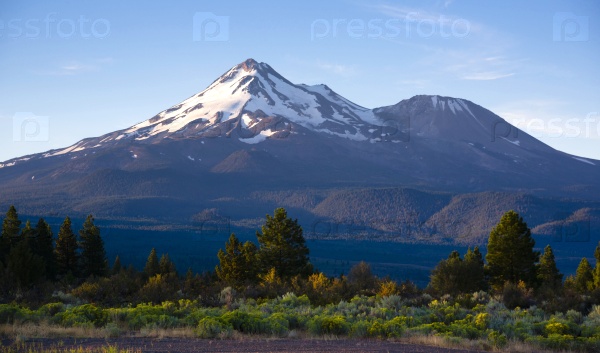 Mount Shasta looms over the rich protested land of the west mountain landscape