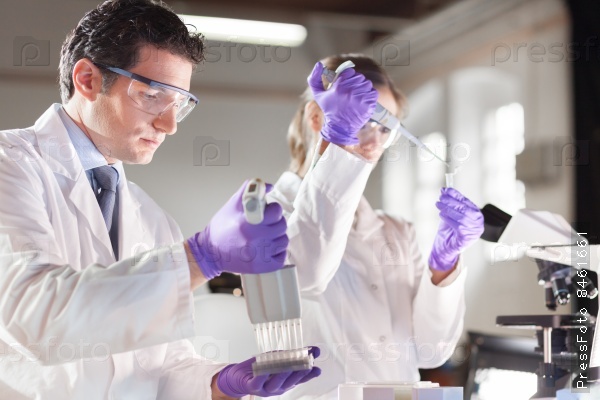 Life scientist researching in laboratory. Focused life science professionals pipetting master mix solution into the PCR 96 well micro plate using multi channel pipette. Healthcare and biotechnology, stock photo
