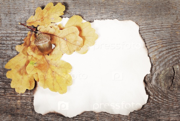 Old crushed paper and oak leaves on brown wooden background. Image with retro filter effect