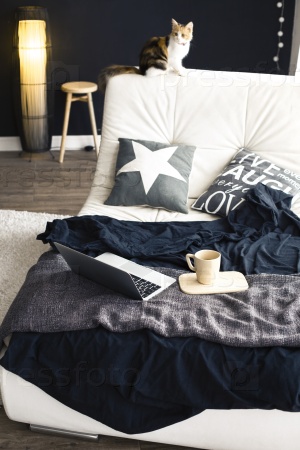 Cozy couch with blanket, coffee and laptop in modern interior in black and white colors