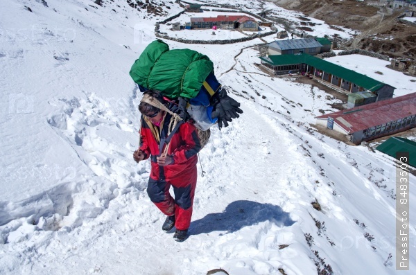 GOKIO VALLEY, NEPAL - MARCH 10: Porters with heavy load at the on March 10, 2014 in Sagarmatha national park , Nepal