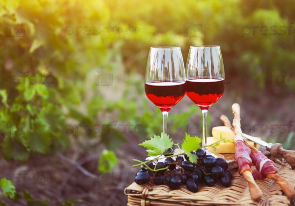 Two glasses of rose wine with bread, meat, grape and cheese on the vineyard background