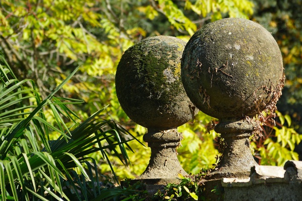 Concrete balls at the garden hedge, overgrown with moss