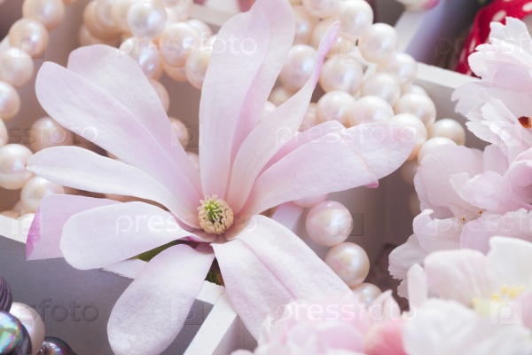 Magnolia flowers with pearls and vintage lace, stock photo