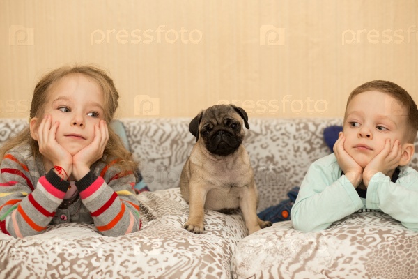 Lovely pug puppy and cute kids, watching TV on the couch, stock photo
