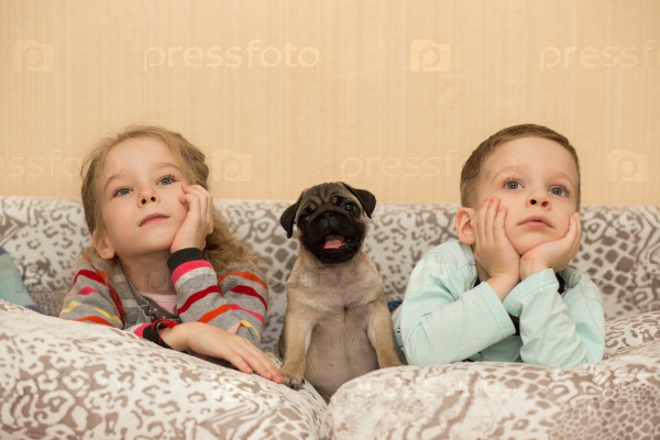 Lovely pug puppy and cute kids, watching TV on the couch, stock photo