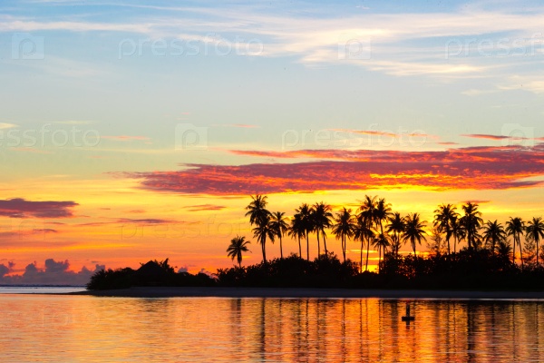 Dark silhouettes of palm trees and amazing cloudy sky on sunset at tropical island in Indian Ocean, stock photo