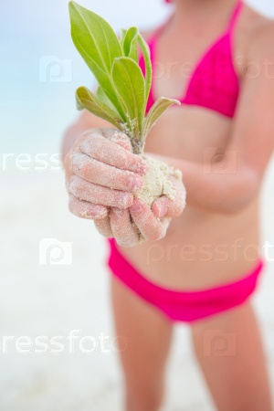 Kids hands holding green sapling background the white sand