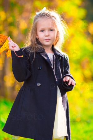 Adorable little girl with autumn leaves in the beautiful park