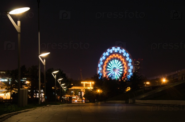 Night view of the park with a Ferris wheel, stock photo