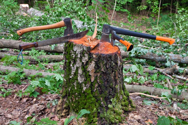 Several hatchets sticked in a tree stump