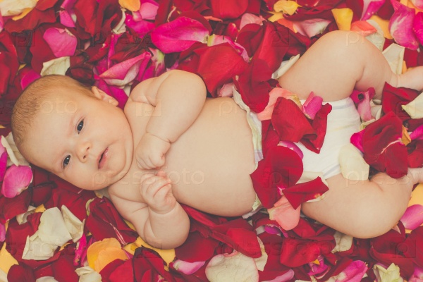Adorable infant baby girl lying in pink, red and yellow rose petals, studio shoot, stock photo