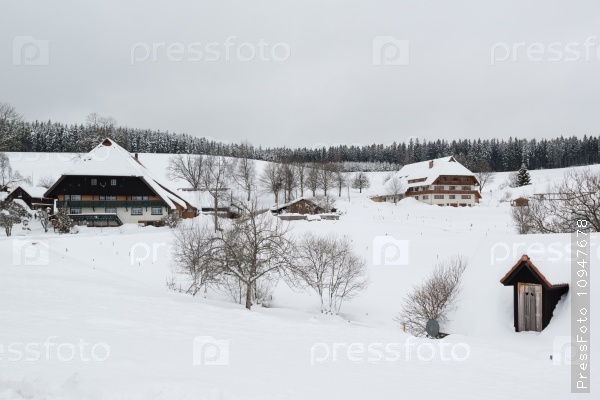 Houses typical for the black forest at the Brigachquelle (Brigach well) near St. Georgen in Germany, stock photo