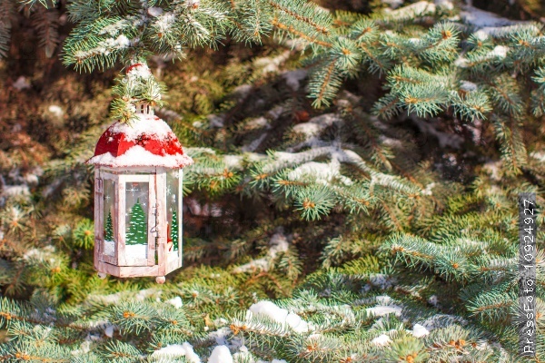 Beautiful red fairytale lantern hanging on snowy fir branch in forest