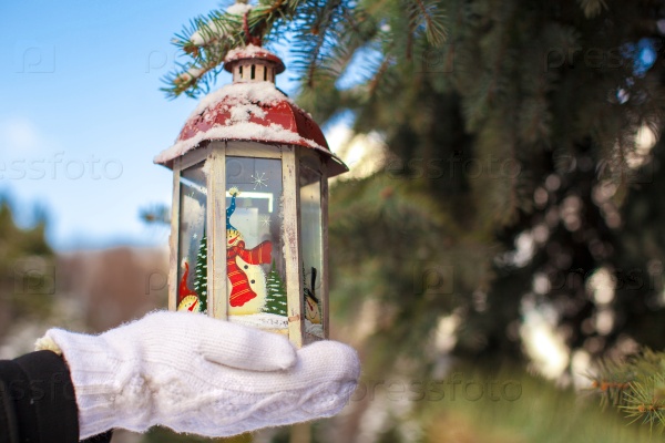 Beautiful fairytale lantern hanging on fir branch in forest