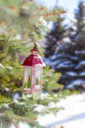 Beautiful red fairytale lantern hanging on snowy fir branch in forest