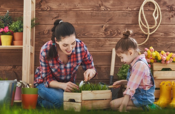 Cute child girl helps her mother to care for plants. Mother and her daughter engaged in gardening in the backyard. Spring concept, nature and care.