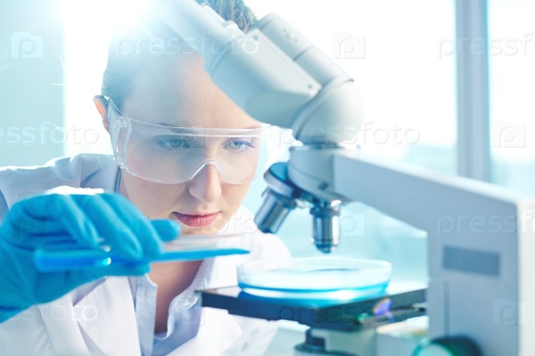 Female researcher using her microscope in a laboratory, stock photo