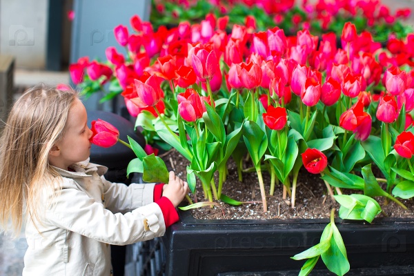 Little adorable girl near red flowers in New York streets