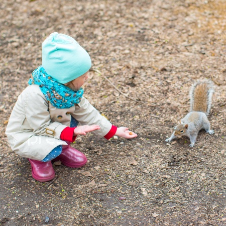 Little girl feeds a squirrel in Central park, New York, America