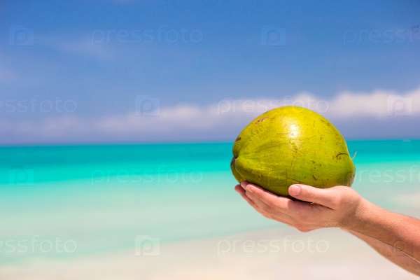 Closeup of coconut in male hands against the turquoise sea