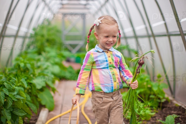 Little adorable girl with the harvest in a greenhouse