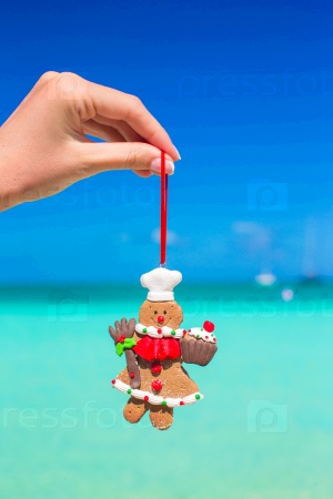 Christmas gingerbread cookie in hand against the turquoise sea