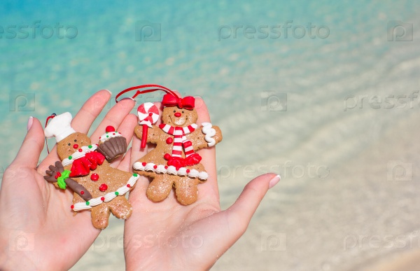 Close up of christmas gingerbread cookies in hands