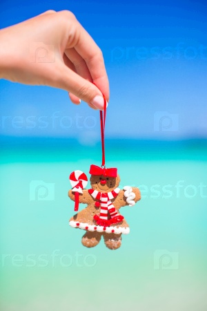Christmas gingerbread man in hand against the turquoise sea