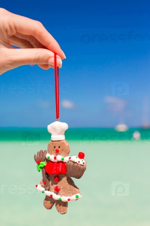 Christmas gingerbread man in hand against the turquoise sea