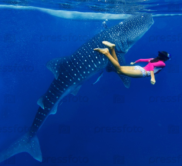 Girl snorkeling with whale shark